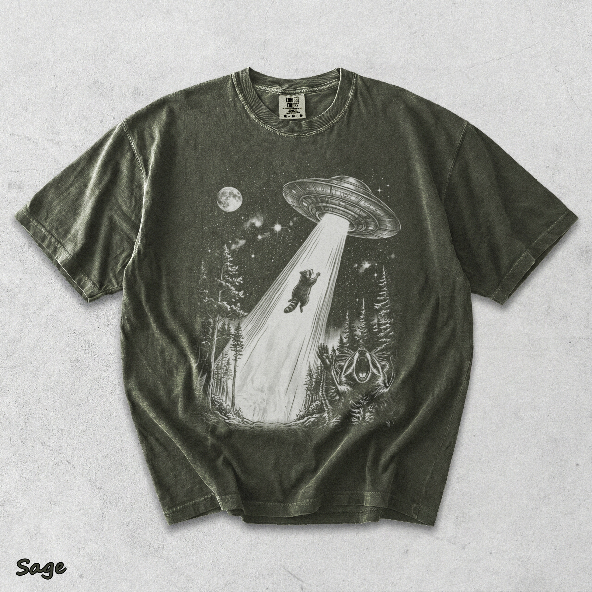 Raccoons UFO - Sage mockup