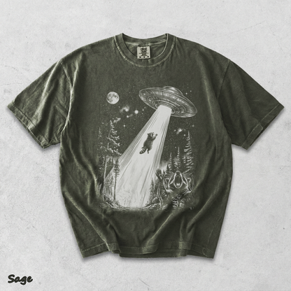 Raccoons UFO - Sage mockup