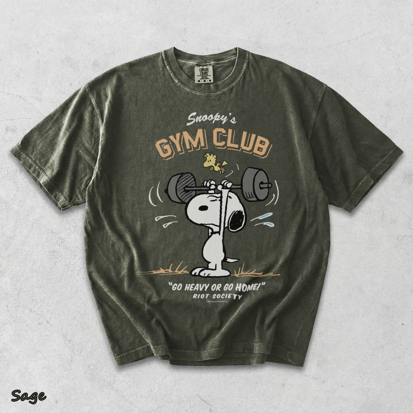 Snoopy's Gym Club - Sage mockup