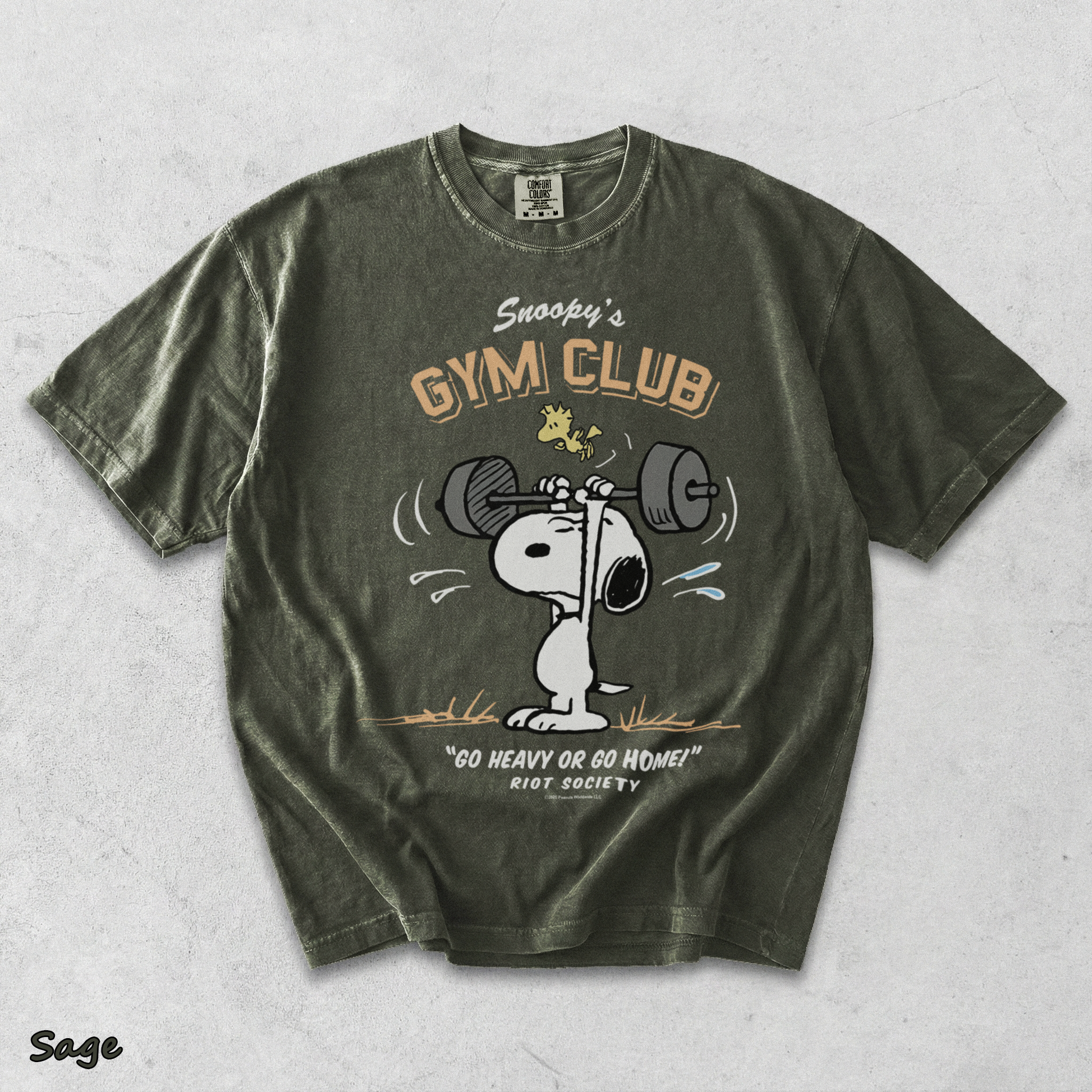 Snoopy's Gym Club - Sage mockup